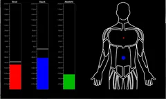 Biofeedback Breathing Training Torso