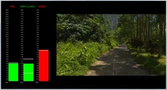 Neurofeedback Gradual Feedback