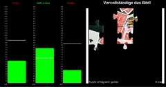 Neurofeedback Puzzle Individual Screen